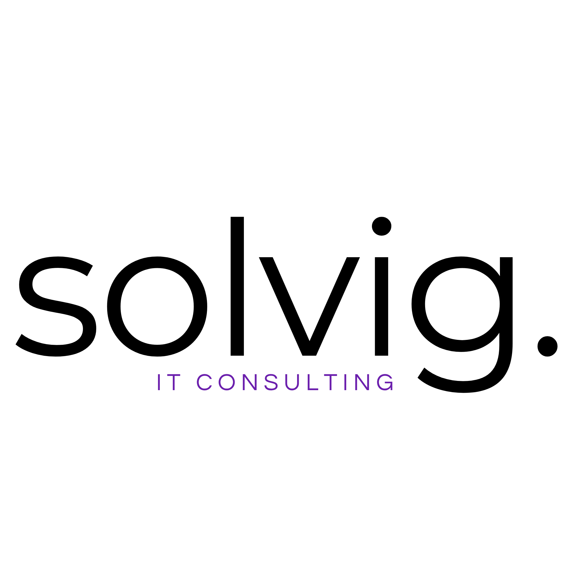 solvig. IT Consulting